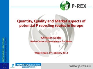 Quantity, Quality and Market aspects of
potential P recycling routes in Europe
Christian Kabbe
Berlin Centre of Competence for Water
Wageningen, 6th February 2013
PHOSPHORUSRECYCLING
FROMPROTOTYPETOMARKET
www.p-rex.eu
 