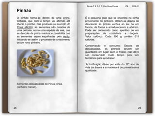 Escola E. B. 2,-3  D. Paio Peres Correia               8ºA        2009-10 PinhãoO pinhão forma-se dentro de uma pinha, fechada, que com o tempo vai abrindo até liberar o pinhão. Nas pináceas (a exemplo do Pinuselliottii), as sementes são dotadas de uma película, como uma espécie de asa, que se descola da pinha madura e possibilita que as sementes sejam espalhadas pelo vento, iniciando-se assim o processo de crescimento de um novo pinheiro. Sementes descascadas de Pinuspinea. (pinheiro manso).É o pequeno grão que se encontra na pinha proveniente do pinheiro. Obtêm-se depois de descascar as pinhas verdes ao sol ou em fornos, de forma a amadurecerem e abrirem. Pode ser consumido como aperitivo ou em preparações de confeitaria e doçaria.Valor calórico: Cada 100 g contém 618 calorias.Conservação e consumo: Depois de descascados, os pinhões devem ser guardados em lugar seco e fresco. Não deve ser conservado muito tempo pois tem tendência para apodrecer. A frutificação dá-se por volta do 12º ano de vida da árvore e a madeira é de primeiríssima qualidade. 2526