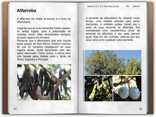 Escola E. B. 2,-3  D. Paio Peres Correia               8ºA        2009-10 AlfarrobaA alfarroba (do árabe alkarrub) é o fruto da alfarrobeira.Julga-se que as suas sementes foram usadas, no antigo Egipto, para a preparação de múmias; foram, aliás, encontrados vestígios de suas vagens em túmulos.Pensa-se que a alfarrobeira terá sido trazida pelos gregos da Ásia Menor. Existem indícios de que os romanos mastigavam as suas vagens secas, muito apreciadas pelo seu sabor adocicado. Como outras, a planta teria sido levada pelos árabes para o Norte de África, Espanha e Portugal.A semente da alfarrobeira foi, durante muito tempo, uma medida utilizada para pesar diamantes. A unidade quilate (carat) era o peso de uma semente de alfarroba. Era considerada uma característica única da semente da alfarroba, o seu peso sempre igual. Hoje em dia, contudo, sabe-se que seu peso varia como qualquer outra semente.3132