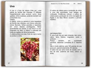 Escola E. B. 2,-3  D. Paio Peres Correia               8ºA        2009-10 UvaA uva é o fruto da videira (Vitissp.), uma planta da família das Vitaceae. É utilizada frequentemente para produzir sumo, doce (geleia), vinho e passas, podendo também ser consumida crua.VideiraA videira, vinha ou parreira é uma trepadeira da família das vitáceas, com tronco retorcido, ramos flexíveis, folhas grandes e repartidas em cinco lóbulos pontiagudos, flores esverdeadas em ramos, e cujo fruto é a uva. Originária da Ásia, a videira é cultivada em todas as regiões de clima temperado.A videira produz as uvas, fruto de cujo o sumo se produz o vinho.O cultivo da videira para a produção de vinho é uma das actividades mais antigas da civilização. Evidências indicam o cultivo da videira para a produção de vinho na região do Egipto e da Ásia Menor durante o período neolítico.INFORMAÇÕES É uma fruta rica em sais minerais, tais como: cálcio, ferro, fósforo, magnésio, sódio e potássio. Possui também, em quantidade razoável, vitaminas (complexo B e vitamina C). Não é muito calórica, pois 100 gramas de uva possuem, aproximadamente, 50 calorias. O sabor da uva varia muito de acordo com o tipo de solo, podendo ser doce, cítrico ou ácido. 3738