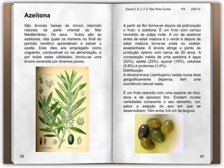 Escola E. B. 2,-3  D. Paio Peres Correia               8ºA        2009-10 Azeitona São árvores baixas de tronco retorcido naturais da parte oriental do Mar Mediterrâneo. Os seus  frutos são as azeitonas, das quais os homens no final do período neolítico aprenderam a extrair o azeite. Este óleo era empregado como unguento, combustível ou na alimentação, e por todas estas utilidades, tornou-se uma árvore venerada por diversos povos.A partir da flor forma-se depois da polinização o fruto: a azeitona. É um fruto com caroço revestido de polpa mole. A cor da azeitona antes de estar madura é o verde e depois de estar madura torna-se preta ou violeta-acastanhada. A árvore atinge o ponto de produção óptimo com cerca de 20 anos. A composição média de uma azeitona é água (50%), azeite (22%), açúcar (19%), celulose (5,8%) e proteínas (1,6%).DistribuiçãoA oliveira-brava (zambujeiro) existe numa área geograficamente dispersa; tem uma ocorrência natural vasta.É um fruto redondo com uma espécie de bico, doce e de epicarpo fino. Existem muitas variedades consoante o seu tamanho, cor, sabor e estação do ano em que se desenvolvem. Têm entre 3-6 cm de largura.3940