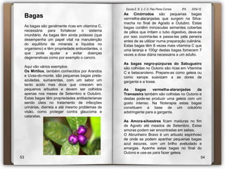 Escola E. B. 2,-3  D. Paio Peres Correia               8ºA        2009-10 BagasAs bagas são geralmente ricas em vitamina C, necessária para fortalecer o sistema imunitário. As bagas têm ainda potássio (que desempenha um papel vital na manutenção do equilíbrio de minerais e líquidos no organismo) e têm propriedade antioxidantes, o que pode ajudar a evitar doenças degenerativas como por exemplo o cancro. Aqui vão vários exemplos:Os Mirtilos, também conhecidos por Arandos e Uvas-do-monte, são pequenas bagas preta-azuladas, sumarentas, com um sabor um tanto acido mas doce que crescem em pequenos arbustos e devem ser colhidos apenas nos meses de Setembro e Outubro. Estas bagas têm propriedades antibacterianas sendo úteis no tratamento de infecções urinárias, diarreia e até mesmo problemas de visão, como proteger contra glaucoma e cataratas.As Cinórrodos são pequenas bagas vermelha-alaranjadas que surgem na Silva-macha no final de Agosto e Outubro. Estas bagas contêm minúsculas sementes cobertas de pêlos que irritam o tubo digestivo, deve-se por isso cozinha-las e passa-las pela peneira antes de as utilizar numa preparação culinária. Estas bagas têm 8 vezes mais vitamina C que uma laranja e 100gr destas bagas fornecem 7 vezes a dose diária necessária a um adulto.As bagas negro-púrpuras do Sabugueiro são colhidas no Outono são ricas em Vitamina C e betacaroteno. Prepare-as como geleia ou como xarope suavizam a as dores de garganta e a tosse.As bagas vermelha-alaranjadas da Tramazeira também são colhidas no Outono e destas pode-se produzir uma geleia com um gosto intenso. Na fitoterapia estas bagas constituem a base de um colutório adstringente para a garganta.AsAmora-silvestres ficam maduras no fim de Agosto até meados de Setembro. Estas amoras podem ser encontradas em sebes.O Abrunheiro Bravo é um arbusto espinhoso de onde se podem apanhar pequenas bagas azul escuras, com um brilho aveludado e amargas. Apanhe estas bagas no final do Outono e use-as para fazer geleia.5354