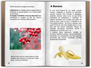  A BananaÉ uma fruta tropical de cor verde, quando imatura, chegando a amarela ou vermelha, quando madura. Seu formato é alongado, podendo contudo variar muito na sua forma consoante as variedades e cultivares. O mesmo acontece com a polpa que pode ser mole ou dura, doce ou acre. A banana é um fruto partenocárpico , tal como o abacaxi, pois pode formar-se sem fecundação prévia. É por isso que não possui sementes. Depois de cortadas escurecem facilmente devido à oxidação em contacto com o ar.A espécie Musa balbisiana, vendida no mercado indonésio contém, excepcionalmente, sementes, e é considerada uma das espécies ancestrais das actuais variedades híbridas geralmente consumidas.Tenha atenção as bagas venenosas:A Beladona em Agosto possui bagas pretas e brilhantes as quais bastam 2 ou 3 para matar uma criança.As bagas vermelhas vivas do Azevinho são venenosas e surgem no fim do Outono mantendo-se no arbusto até Fevereiro.Alguns frutos que tu comes todos os dias também são tropicais e tu não tens noção disso. Como por exemplo:5556