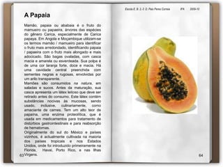 Escola E. B. 2,-3  D. Paio Peres Correia               8ºA        2009-10 A Papaia  Mamão, papaia ou ababaia é o fruto do mamueiro ou papaeira, árvores das espécies do gênero Carica, especialmente de Carica papaya. Em Angola e Moçambique utilizam-se os termos mamão / mamueiro para identificar o fruto mais arredondado, identificando papaia / papaeira com o fruto mais alongado e mais adocicado. São bagas ovaladas, com casca macia e amarela ou esverdeada. Sua polpa é de uma cor laranja forte, doce e macia. Há uma cavidade central preenchida com sementes negras e rugosas, envolvidas por um arilo transparente.Mamões são consumidos na natura, em saladas e sucos. Antes da maturação, sua casca apresenta um látex leitoso que deve ser retirado antes do consumo. Este látex contém substâncias nocivas às mucosas, sendo usado, inclusive, culinariamente, como amaciante de carnes. Tem um alto teor de papaína, uma enzima proteolítica, que é usada em medicamentos para tratamento de distúrbios gastrointestinais e para reabsorção de hematomas.Originalmente do sul do México e países vizinhos, é actualmente cultivada na maioria dos países tropicais e nos Estados Unidos, onde foi introduzido primeiramente na Florida,  Havai, Porto Rico, e nas Ilhas Virgens.6364