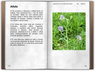 Escola E. B. 2,-3  D. Paio Peres Correia               8ºA        2009-10 O que são?Leguminosas são plantas cujo fruto é uma vagem, isto é fruto das leguminosas em botânica. Formam a segunda maior família de plantas de floríferas. Existem cerca de 18000 espécies em mais de 650 género.