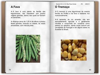  As leguminosas são ricas em hidratos de carbono complexos com uma lenta absorção sanguínea, ideal para pessoas com diabetes porque prolonga o efeito de saciedade.