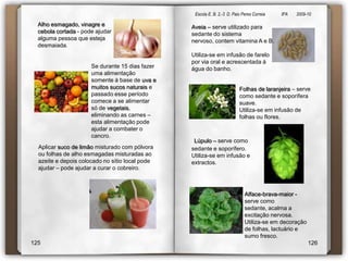 Escola E. B. 2,-3  D. Paio Peres Correia               8ºA        2009-10 O Pepino O AgriãoO pepino é o fruto do pepineiro, que se come geralmente em forma de salada. São longos, com casca verde clara com estrias e manchas escuras, polpa de cor clara e sabor suave, com sementes achatadas semelhantes às do melão, que é outro membro da família.O pepino é originário das regiões montanhosas da Índia e apropriado para a plantação em regiões tropicais e temperadas. Tem sido cultivado desde a Antiguidade na Ásia, África e Europa. Foi trazido para a América por Cristóvão Colombo.     Assim como a maioria das verduras de folha, o agrião é um vegetal de baixo teor calórico.  Ele é considerado uma das principais fontes de vitamina A, essencial para a boa visão e para manter a saúde da pele. O agrião é importantes para o funcionamento da glândula tireóide, ajudam na formação de ossos e dentes. O sumo de agrião, fervido com leite, em partes iguais, dá excelentes resultados contra enfermidade do peito, catarro e reumatismo. E mostra-se eficiente contra a bronquite quando se mistura com mel.  Na hora da compra, escolha o maço que tiver folhas verdes e brilhantes, firmes, limpas e sem marcas de insectos. Nessas condições pode ser conservado no frigorífico por 3 a 4 dias.  Os períodos de colheita do agrião vão de Janeiro a Fevereiro e de Agosto a Setembro. O pepino tem vários tamanhos, formas, cores e sabores.  A pomada preparada com pepino, é utilizada para amaciar a pele. Deve ser conservado em geladeira, dentro de sacos de plástico perfurados. A sua duração é de até uma semana sem grandes alterações na cor, sabor e aparência. 9596