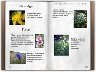 Escola E. B. 2,-3  D. Paio Peres Correia               8ºA        2009-10 VERMELHOSELARANJAS    101102