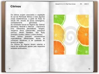 Escola E. B. 2,-3  D. Paio Peres Correia               8ºA        2009-10 CitrinosOs citrinos surgem associados à vegetação do sul da Península Ibérica e mais algumas zonas mediterrânicas, a partir de finais do século XIII, através de povos estrangeiros, nomeadamente genoveses. .As variedades típicas do Algarve são: Dalmau (Navelina), Newhall e Valencia  , Clementina Fina, Clementina Setubalense, Tangera, Tangerina Nova (Clemenvilla) (pequenos citrinos); MarshSeedless, StarRuby (toranjas); Eureka, Lisboa, Lunário (limões).Estes citrinos possuem características organolépticasdiferenciadas devido às condições climáticas, e de qualidade do terreno da região.Os Citrinos do Algarve devem ostentar a marca de certificação aposta pela respectiva entidade certificadora.1112