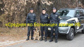 «Средняя по больнице» зрелая ИБ
 