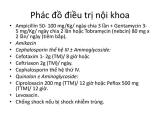 Phác đồ điều trị nội khoa
• Ampicillin 50- 100 mg/Kg/ ngày chia 3 lần + Gentamycin 3-
5 mg/Kg/ ngày chia 2 lần hoặc Tobramycin (nebcin) 80 mg x
2 lần/ ngày (tiêm bắp).
• Amikacin
• Cephalosporin thế hệ III ± Aminoglycoside:
• Cefotaxim 1- 2g (TM)/ 8 giờ hoặc
• Ceftriaxon 2g (TM)/ ngày.
• Cephalosporin thế hệ thứ IV.
• Quinolon ± Aminoglycoside:
• Ciproloxacin 200 mg (TTM)/ 12 giờ hoặc Peflox 500 mg
(TTM)/ 12 giờ.
• Levoxacin.
• Chống shock nếu bị shock nhiễm trùng.
 