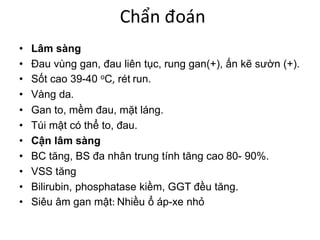 Chẩn đoán
• Lâm sàng
• Đau vùng gan, đau liên tục, rung gan(+), ấn kẽ sườn (+).
• Sốt cao 39-40 oC, rét run.
• Vàng da.
• Gan to, mềm đau, mặt láng.
• Túi mật có thể to, đau.
• Cận lâm sàng
• BC tăng, BS đa nhân trung tính tăng cao 80- 90%.
• VSS tăng
• Bilirubin, phosphatase kiềm, GGT đều tăng.
• Siêu âm gan mật: Nhiều ổ áp-xe nhỏ
 