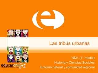 Las tribus urbanas

                      NM1 (1° medio)
         Historia y Ciencias Sociales
Entorno natural y comunidad regional
 