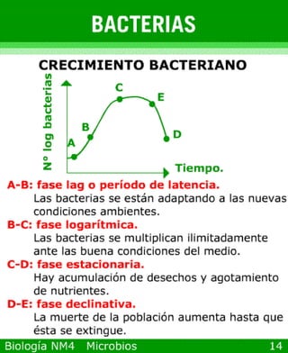 microbios y sistema inmune