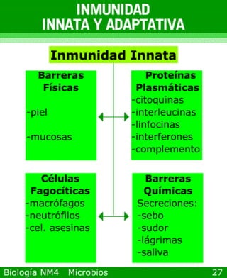 microbios y sistema inmune
