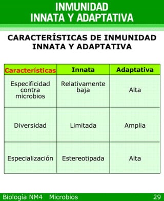 microbios y sistema inmune