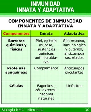 microbios y sistema inmune