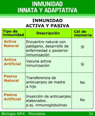 microbios y sistema inmune