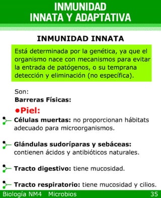 microbios y sistema inmune