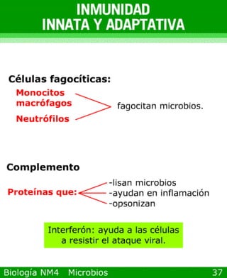 microbios y sistema inmune