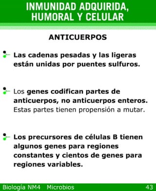 microbios y sistema inmune