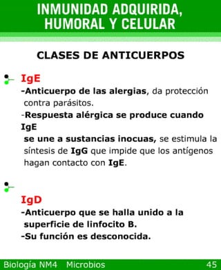 microbios y sistema inmune