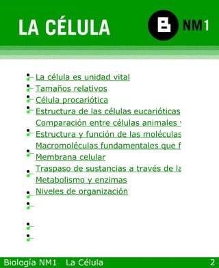 La célula es unidad vital Tamaños relativos Célula procariótica Estructura de las células eucarióticas Comparación entre células animales y vegetales Estructura y función de las moléculas orgánicas Macromoléculas fundamentales que forman el cuerpo humano Membrana celular Traspaso de sustancias a través de la membrana Metabolismo y enzimas Niveles de organización 