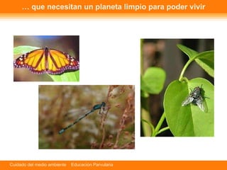 …  que necesitan un planeta limpio para poder vivir 
