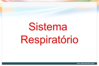 Sistema
Respiratório
1

 