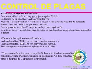 CONTROL DE PLAGAS  Ejemplos de algunas aplicaciones: Para mosquilla, lombriz roja y gorgojos se aplica 20 d.d.t En lamina de agua aplicar ¼ de carbosulfan/ha Mezclar ¼ de carbosulfan + 3.75 litros de agua y aplicar con aplicador de herbicida Saturn. Esta mecla debe ser para una hectarea. Para sogatodes se aplica 25 despues de la primera aplicación Lo mismo dosis y modalidad, pero tambien se puede aplicar con pulverizador manual o a motor. Para chinches aplicar en estado lechoso ¼ de carbosulfan/200lit/ha con pulverizador a motor . o ½ de carbosulfan/400lit/ha con pulverizador manual. Si el daño persiste repetir una aplicación a los 10 dias. Tratamiento Químico para mosquilla. Se han obtenido buenos resultados de control con el insecticida Diazinon, teniendo en cuenta que No debe ser aplicado 15 días antes o después de la aplicación de Propanil.   
