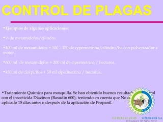 CONTROL DE PLAGAS  Ejemplos de algunas aplicaciones: ½ de metamidofos/cilindro. 400 ml de metamidofos + 100 – 150 de cypermetrina/cilindro/ha con pulverizador a motor. 600 ml  de metamidofos + 200 ml de cipermetrina / hectarea. 450 ml de clorpirifos + 50 ml cipermetrina / hectarea. Tratamiento Químico para mosquilla. Se han obtenido buenos resultados de control con el insecticida Diazinon (Basudin 600), teniendo en cuenta que No debe ser aplicado 15 días antes o después de la aplicación de Propanil.   