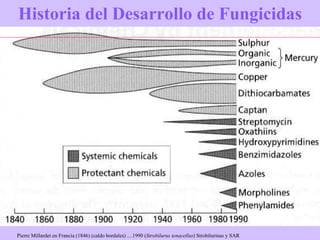 Historia del Desarrollo de Fungicidas Pierre Millardet en Francia (1846) (caldo bordales) ....1990 ( Strobilurus tenacellus ) Strobilurinas y SAR 