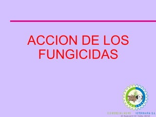 ACCION DE LOS FUNGICIDAS 