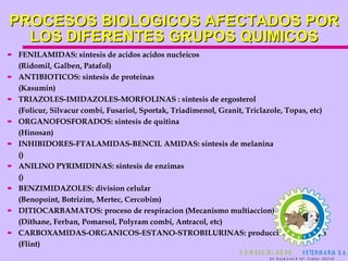 PROCESOS BIOLOGICOS AFECTADOS POR LOS DIFERENTES GRUPOS QUIMICOS FENILAMIDAS:  sintesis de acidos acidos nucleicos (Ridomil, Galben, Patafol) ANTIBIOTICOS:  sintesis de proteinas (Kasumin) TRIAZOLES-IMIDAZOLES-MORFOLINAS : sintesis de ergosterol  (Folicur, Silvacur combi, Fusariol, Sportak, Triadimenol, Granit, Triclazole, Topas, etc) ORGANOFOSFORADOS:  sintesis de quitina (Hinosan) INHIBIDORES-FTALAMIDAS-BENCIL AMIDAS: sintesis de melanina () ANILINO PYRIMIDINAS: sintesis de enzimas () BENZIMIDAZOLES:  division celular (Benopoint, Botrizim, Mertec, Cercobim) DITIOCARBAMATOS:  proceso de respiracion (Mecanismo multiaccion) (Dithane, Ferban, Pomarsol, Polyram combi, Antracol, etc) CARBOXAMIDAS-ORGANICOS-ESTANO-STROBILURINAS: produccion de energia (Flint) 
