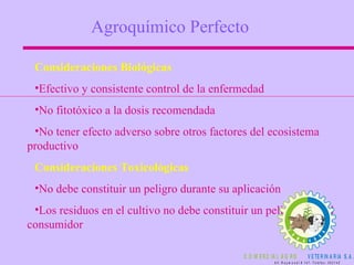 Consideraciones Biológicas Efectivo y consistente control de la enfermedad No fitotóxico a la dosis recomendada No tener efecto adverso sobre otros factores del ecosistema productivo Consideraciones Toxicológicas No debe constituir un peligro durante su aplicación Los residuos en el cultivo no debe constituir un peligro para el consumidor Agroquímico Perfecto 