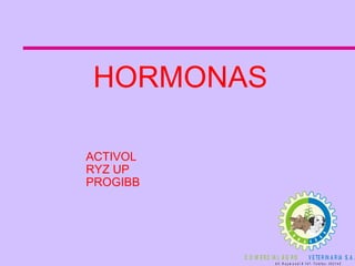 HORMONAS  ACTIVOL RYZ UP PROGIBB 