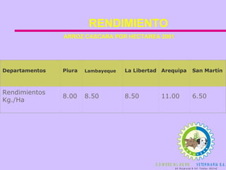 RENDIMIENTO ARROZ CASCARA POR HECTAREA 2001   Departamentos Piura Lambayeque La Libertad Arequipa San Martín Rendimientos Kg./Ha 8.00 8.50 8.50 11.00 6.50 
