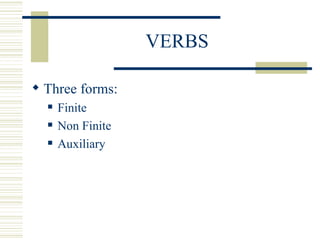 speed trainer wynberg