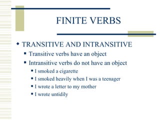 speed trainer wynberg