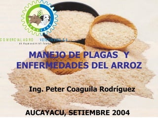 MANEJO DE PLAGAS  Y ENFERMEDADES DEL ARROZ AUCAYACU, SETIEMBRE 2004 Ing. Peter Coaguila Rodríguez 