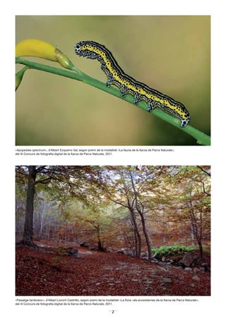 2
«Paisatge tardorenc», d’Albert Llonch Castrillo, segon premi de la modalitat «La flora i els ecosistemes de la Xarxa de Parcs Naturals»,
del 4t Concurs de fotografia digital de la Xarxa de Parcs Naturals, 2011.
«Apopestes spectrum», d’Albert Ezquerro Val, segon premi de la modalitat «La fauna de la Xarxa de Parcs Naturals»,
del 4t Concurs de fotografia digital de la Xarxa de Parcs Naturals, 2011.
 