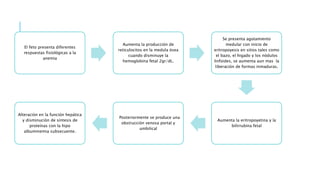El feto presenta diferentes
respuestas fisiológicas a la
anemia
Aumenta la producción de
reticulocitos en la medula ósea
cuando disminuye la
hemoglobina fetal 2gr/dL.
Se presenta agotamiento
medular con inicio de
eritropoyesis en sitios tales como
el bazo, el higado y los nódulos
linfoides, se aumenta aun mas la
liberación de formas inmaduras.
Aumenta la eritropoyetina y la
bilirrubina fetal
Posteriormente se produce una
obstrucción venosa portal y
umbilical
Alteración en la función hepática
y disminución de síntesis de
proteínas con la hipo
albuminemia subsecuente.
 