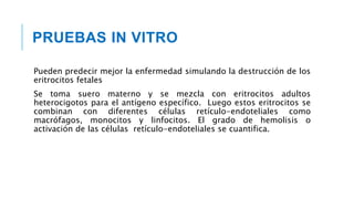 PRUEBAS IN VITRO
Pueden predecir mejor la enfermedad simulando la destrucción de los
eritrocitos fetales
Se toma suero materno y se mezcla con eritrocitos adultos
heterocigotos para el antígeno específico. Luego estos eritrocitos se
combinan con diferentes células retículo-endoteliales como
macrófagos, monocitos y linfocitos. El grado de hemolisis o
activación de las células retículo-endoteliales se cuantifica.
 