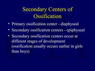 Secondary Centers of
Ossification
• Primary ossification center - diaphyseal
• Secondary ossification centers - epiphyseal
• Secondary ossification centers occur at
different stages of development
(ossification usually occurs earlier in girls
than boys)
 