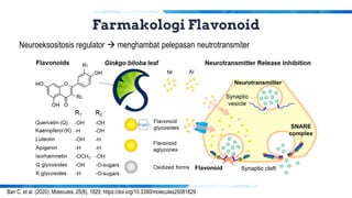 Farmakologi Flavonoid
Ban C. et al. (2020). Molecules, 25(8), 1829; https://doi.org/10.3390/molecules25081829
Neuroeksositosis regulator → menghambat pelepasan neutrotransmiter
 