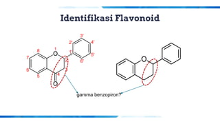 Identifikasi Flavonoid
gamma benzopiron?
 