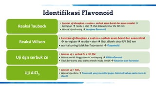 Identifikasi Flavonoid
 