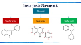 Jenis-jenis Flavonoid
True Flavonoid Isoflavonoid Neoflavonoid
Flavonoid
 