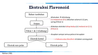 Flavonoid.pdf