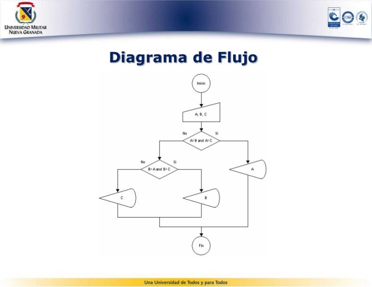 Estructura selectiva